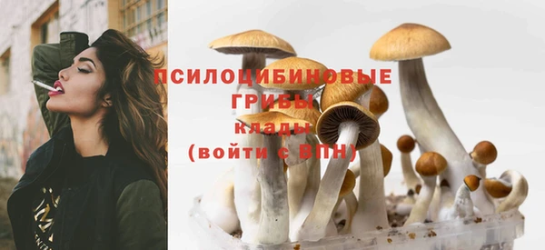 молекула духа Володарск