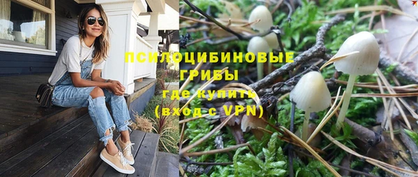 дживик Сатка