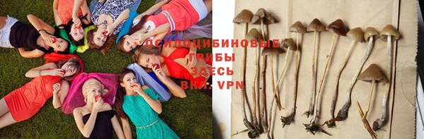 соль ск Волоколамск