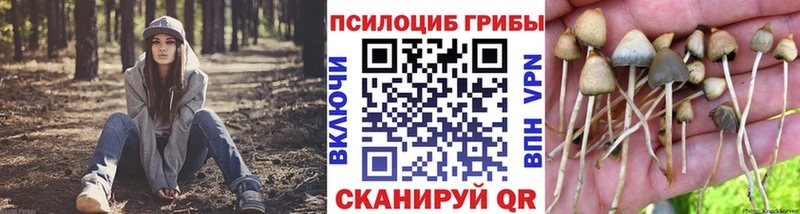 Купить  Бирюсинск  Галлюциногенные грибы мицелий 